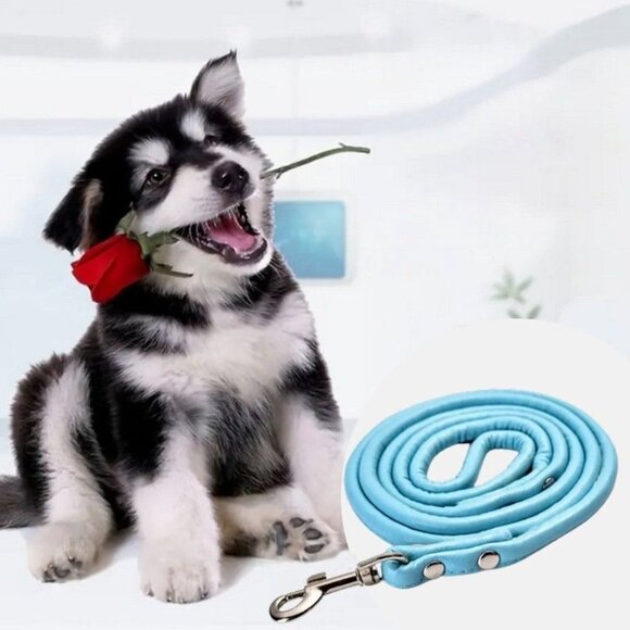 Xander Rey Light Blue Leather Dog Leash Gift Packaged - Picture 1 of 9